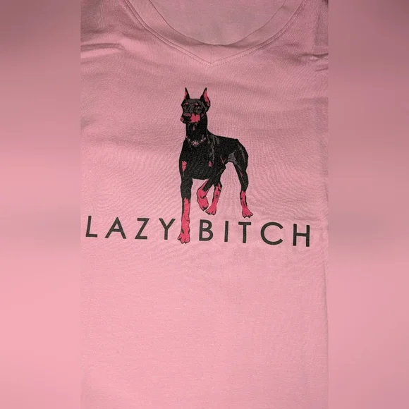 Christina Dienst LAZY LOS ANGELES V Neck T-SHIRT Size Medium Pink NIP - Picture 2 of 5